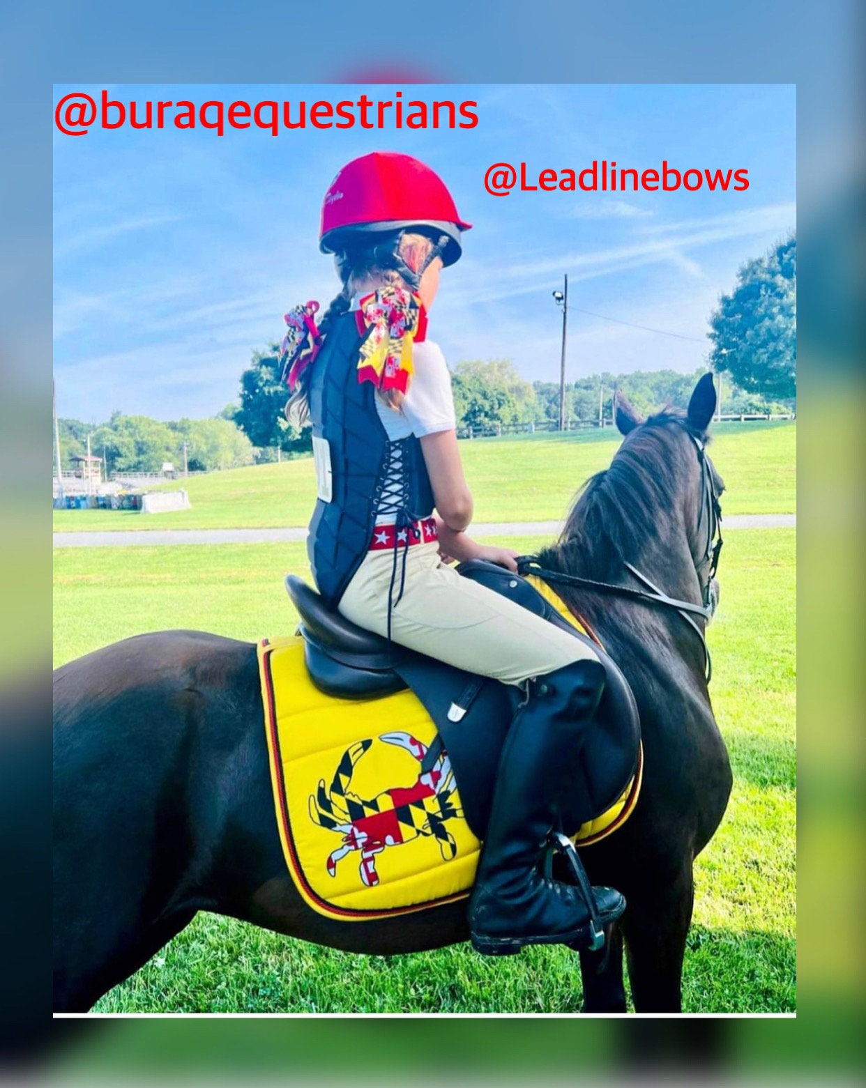 Handmade All Purpose Maryland Flag matching set with pad ear bonnet and brushing boots